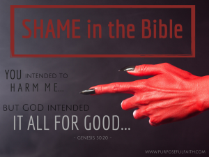 Shame in the bible