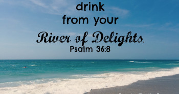 River of Delights