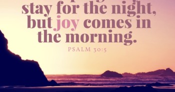 joy gone