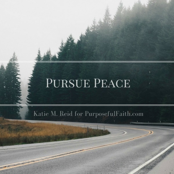 Pursue peace image by Katie M. Reid for purposefulfaith.com