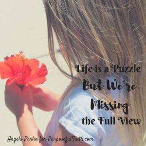 Life is a Puzzle, But We're Missing the Full View