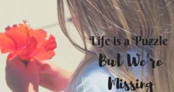 Life is a Puzzle, But We're Missing the Full View