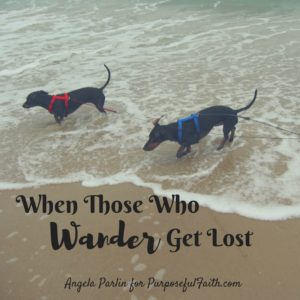Wander Lost