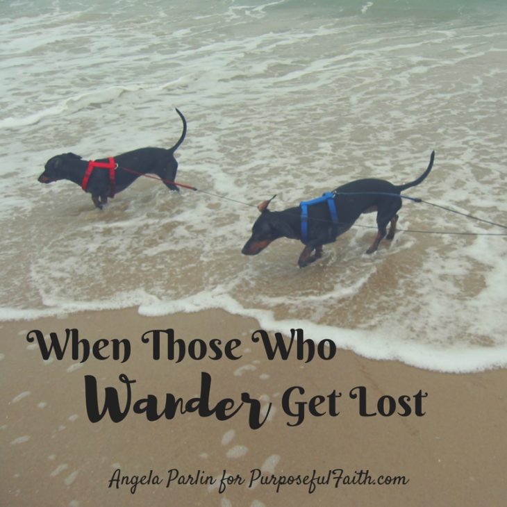 Wander Lost