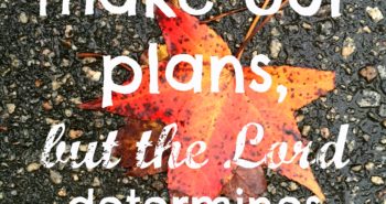 plans