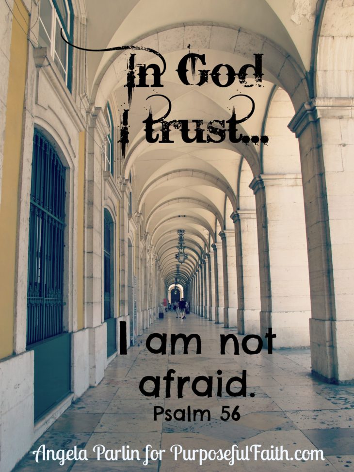 trust fear fighting
