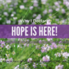Why I declare that hope is here image with a field of purple flowers by Katie M. Reid Photography