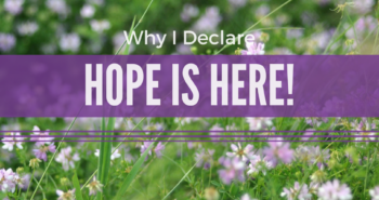 Why I declare that hope is here image with a field of purple flowers by Katie M. Reid Photography