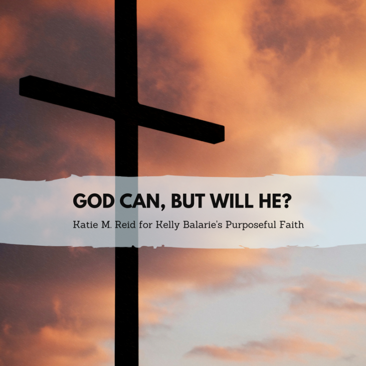 God Can, But Will He quote by Katie M. Reid for Kelly Balarie's Purposeful Faith blog